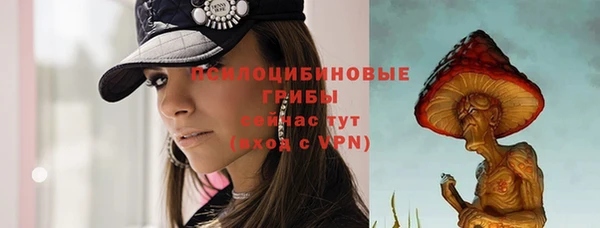 ПСИЛОЦИБИНОВЫЕ ГРИБЫ Алексин