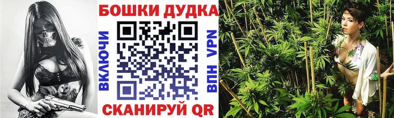 где купить наркоту  Бирюсинск  МАРИХУАНА AK-47 